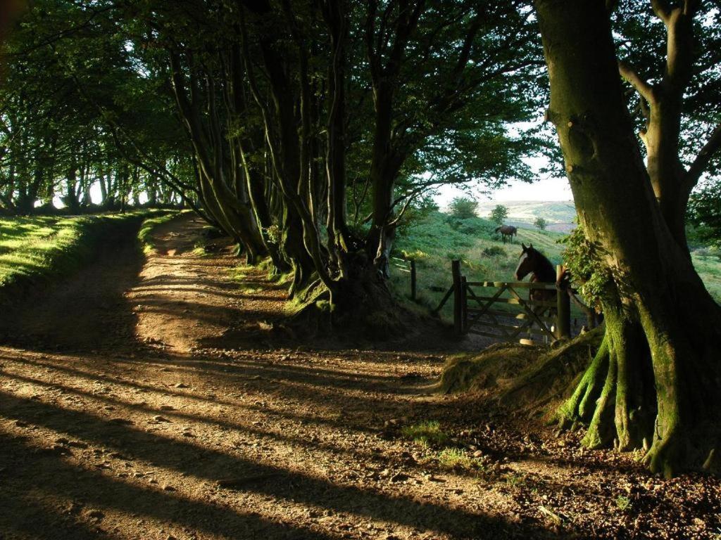 Notley Arms Inn Exmoor National Park Elworthy Exteriör bild