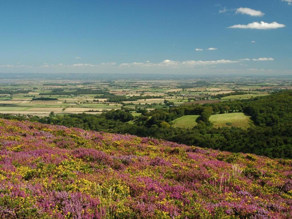 Notley Arms Inn Exmoor National Park Elworthy Exteriör bild